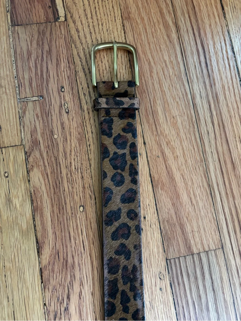 J. Crew Leopard Print Brown and Black Belt with Gold Buckle - Picture 2 of 6